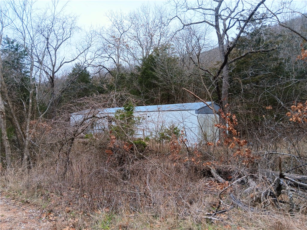 Image 13