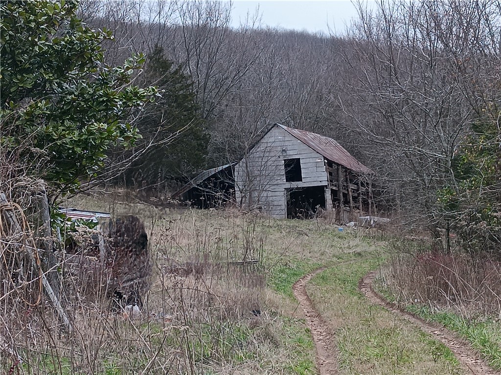 Image 15