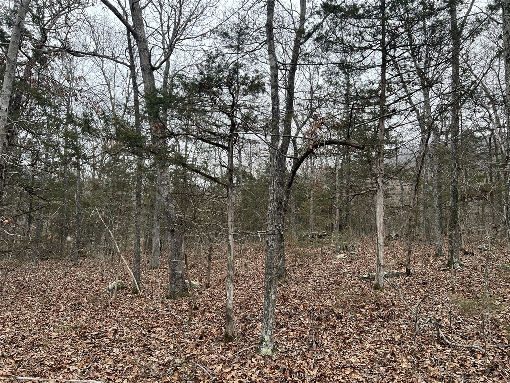 Ozark Haven Realty property-listing-thumbnail