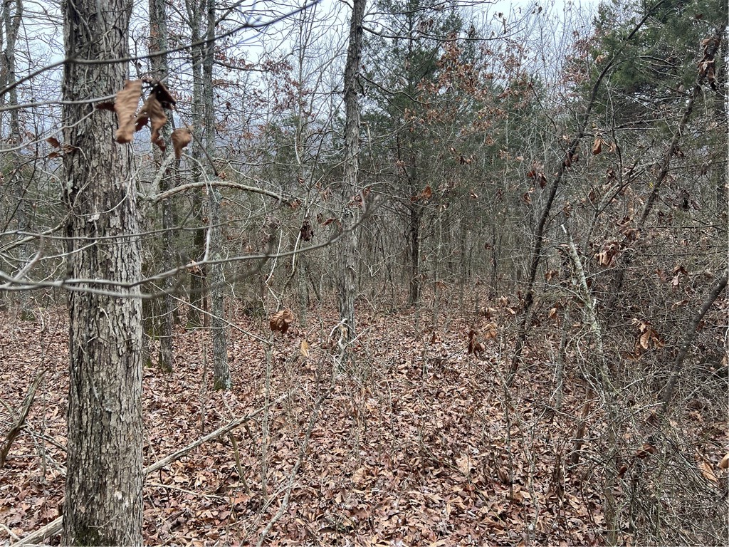 Image 13