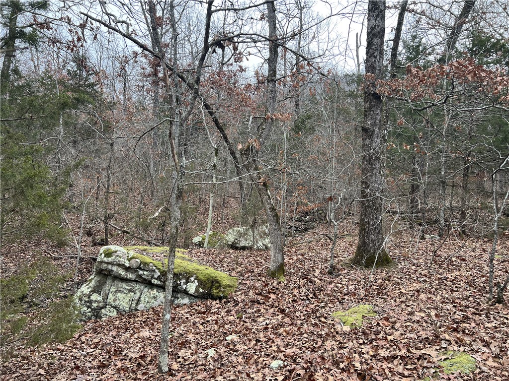 Image 6