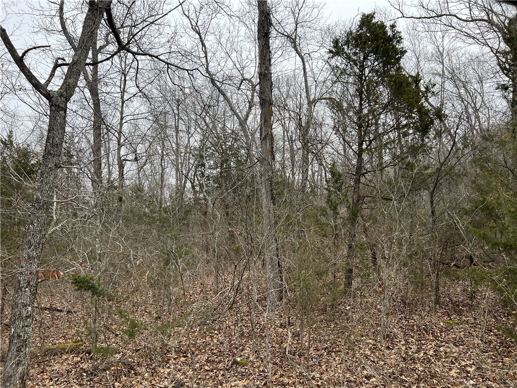 Image 8