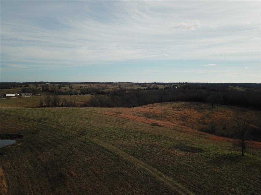 Image 14