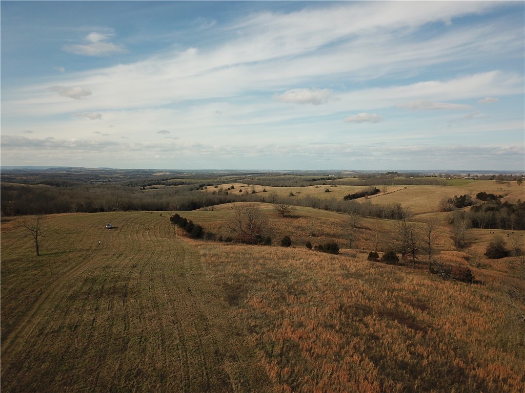 Image 31
