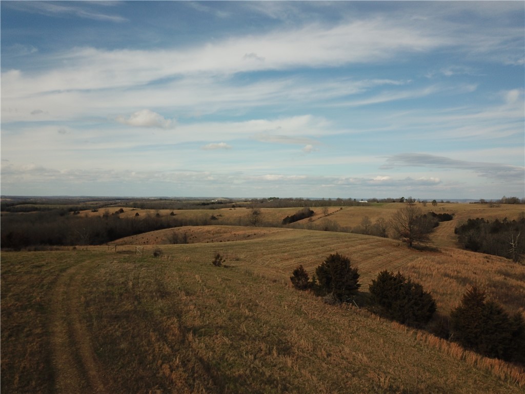 Image 36