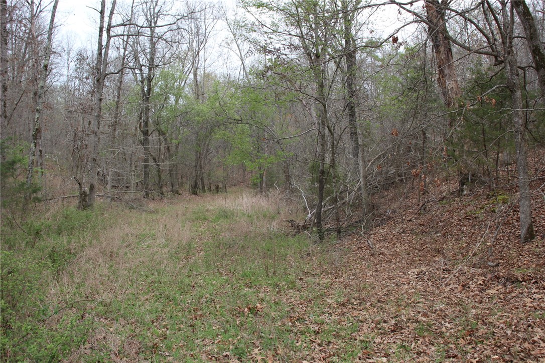 Image 13