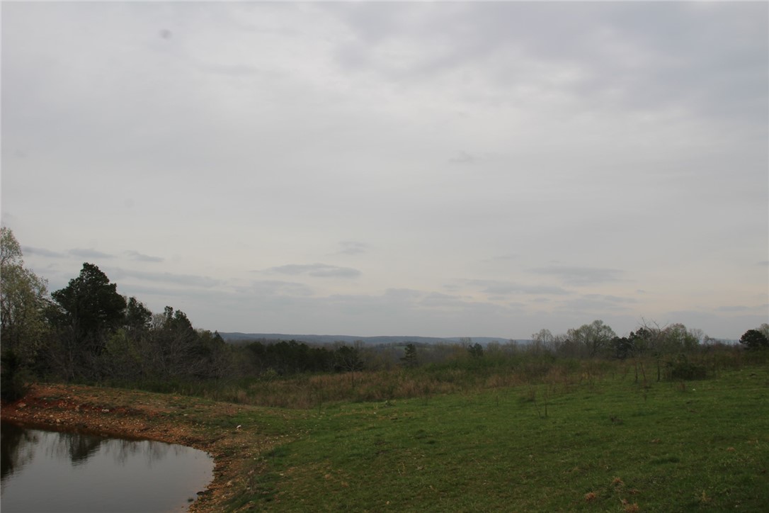 Image 17