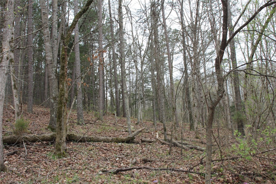 Image 18