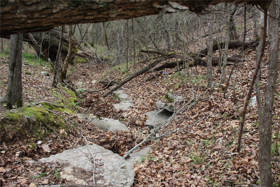 Image 19