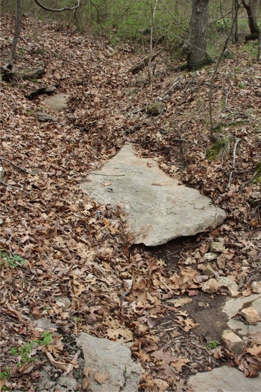 Image 20