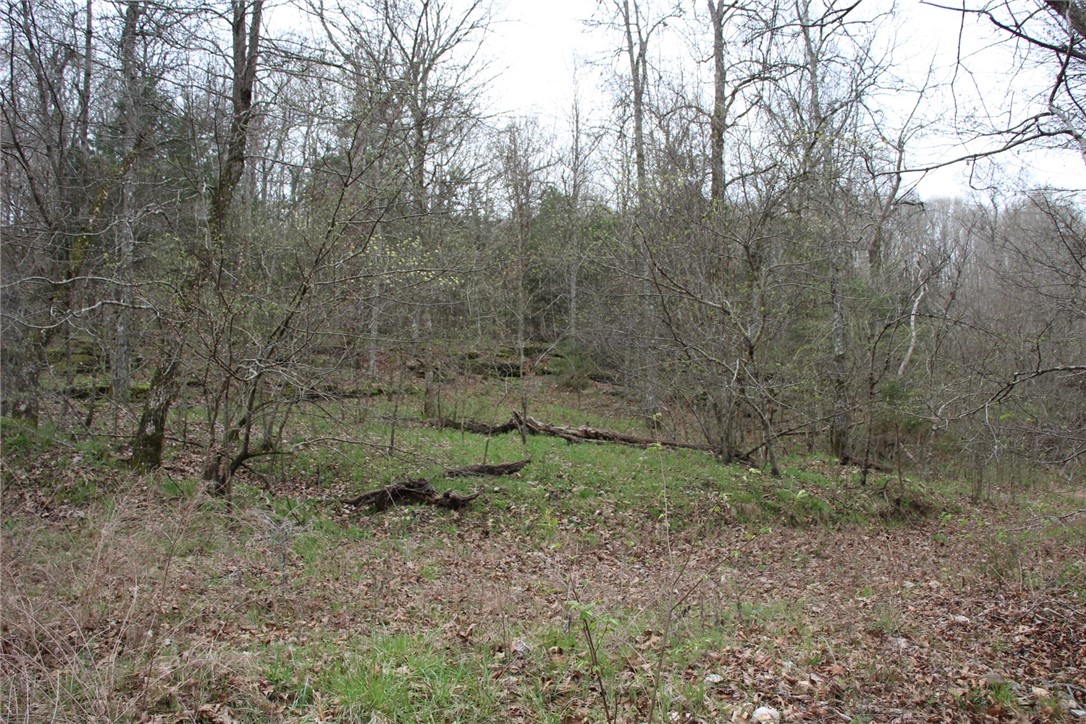 Image 22