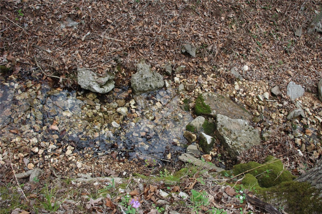 Image 23