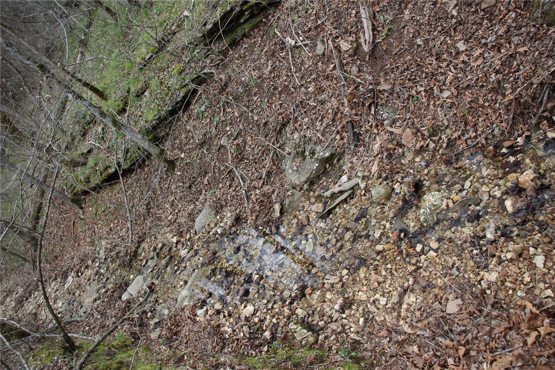 Image 24