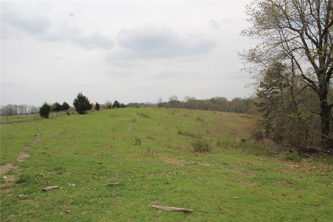 Image 25