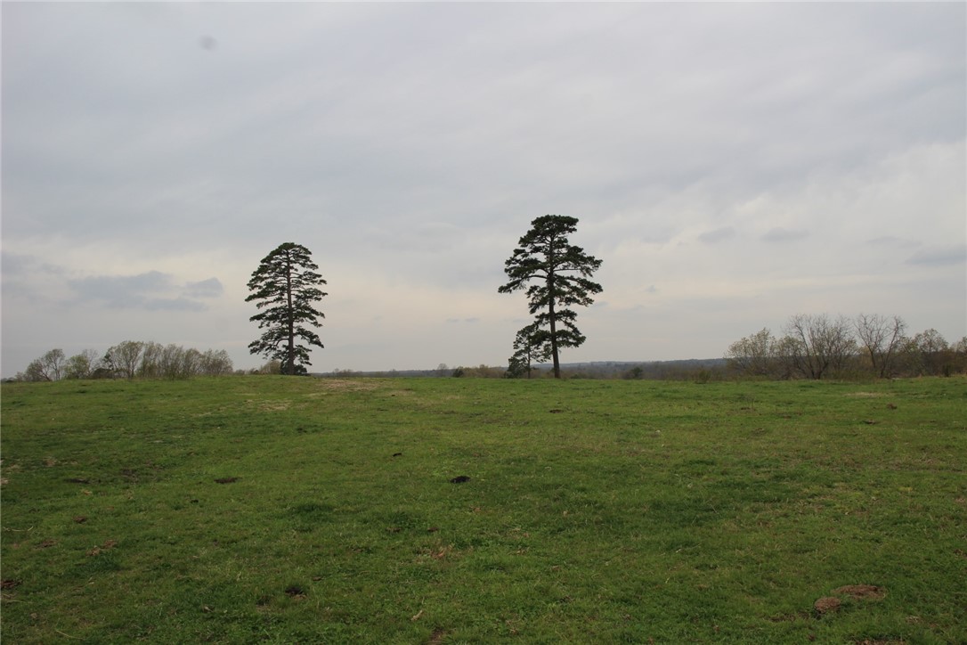 Image 27