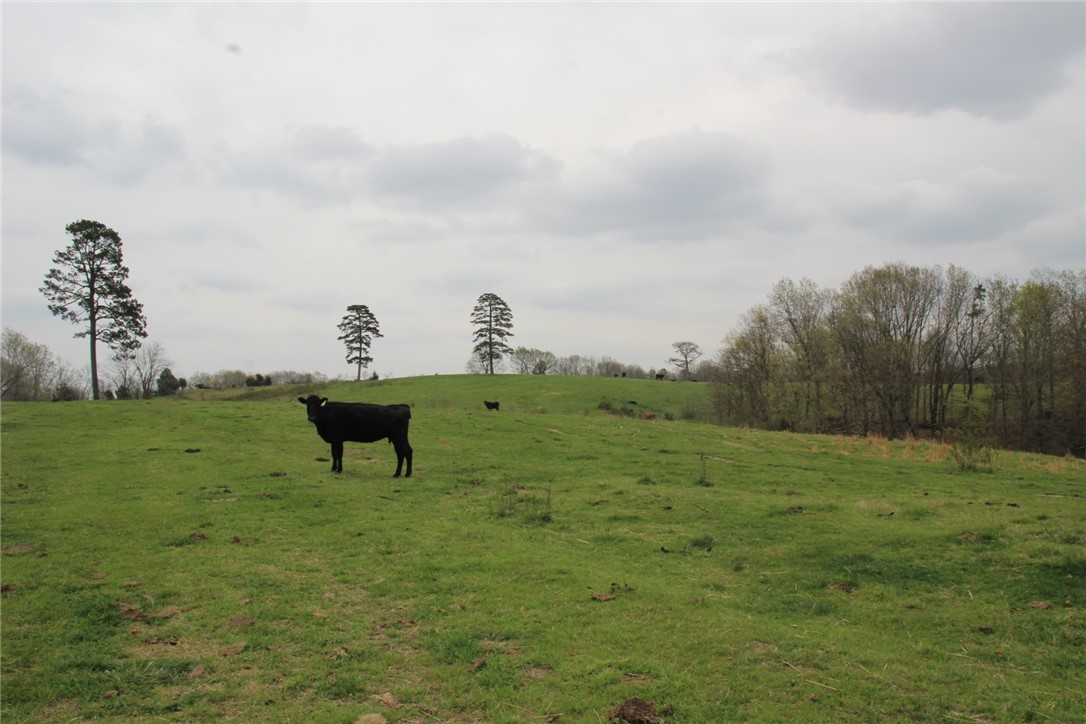 Image 28