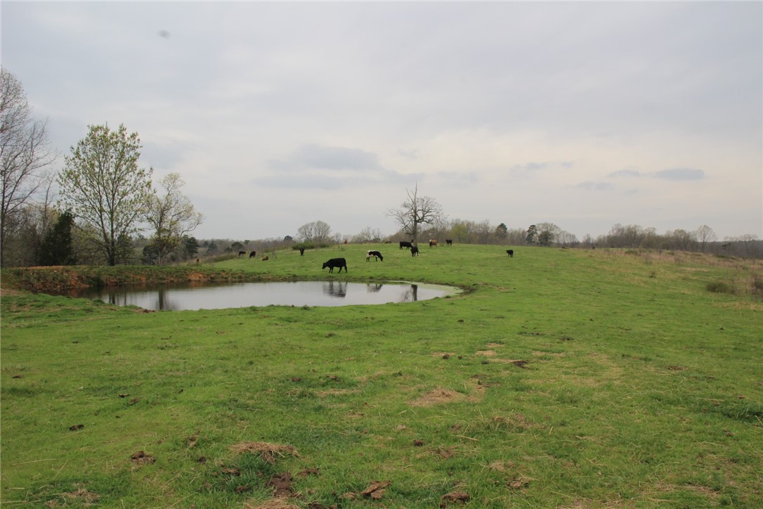 Image 29