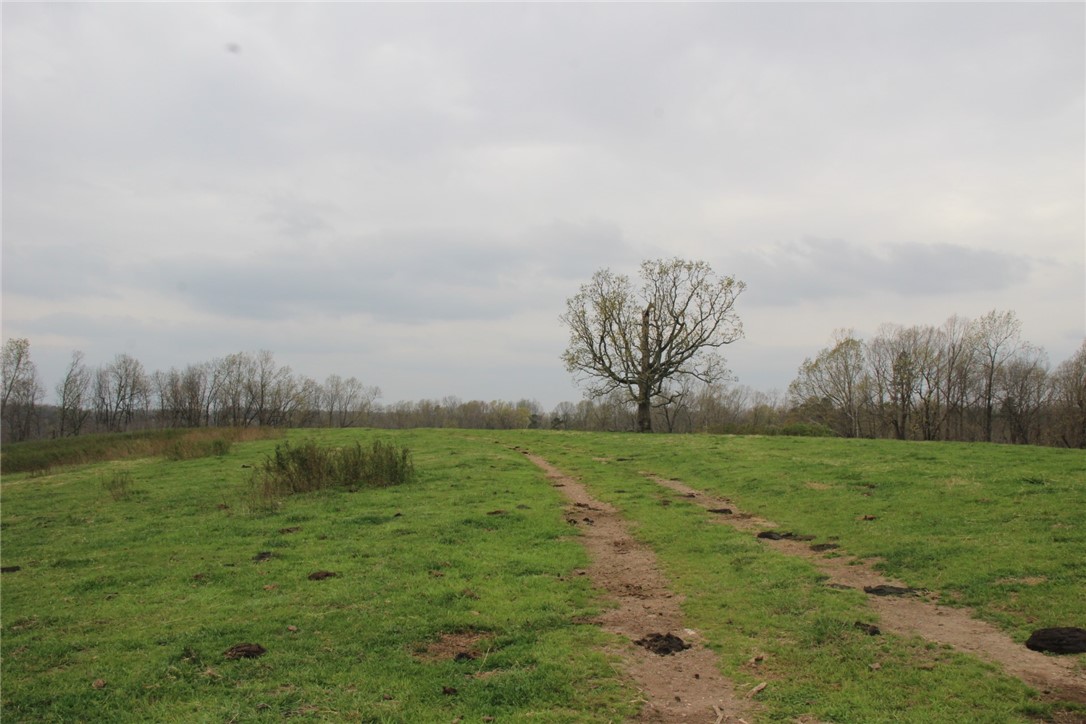 Image 31