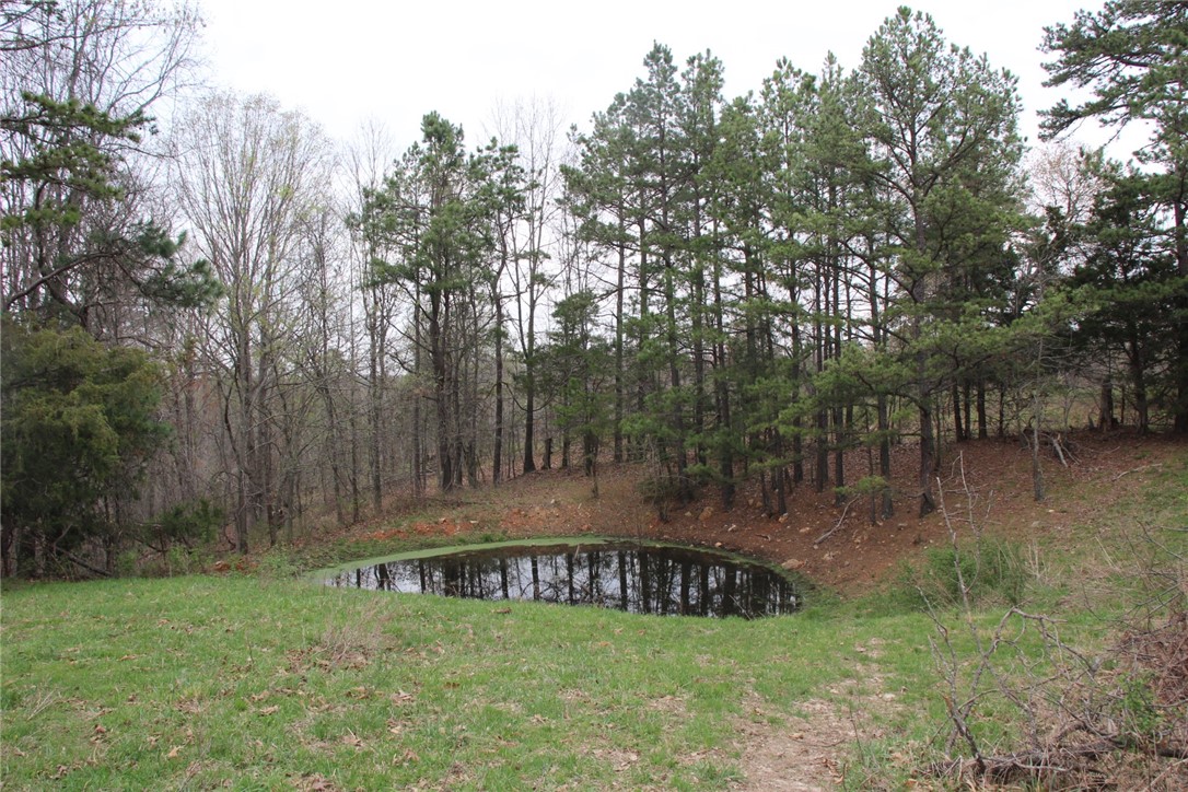 Image 33