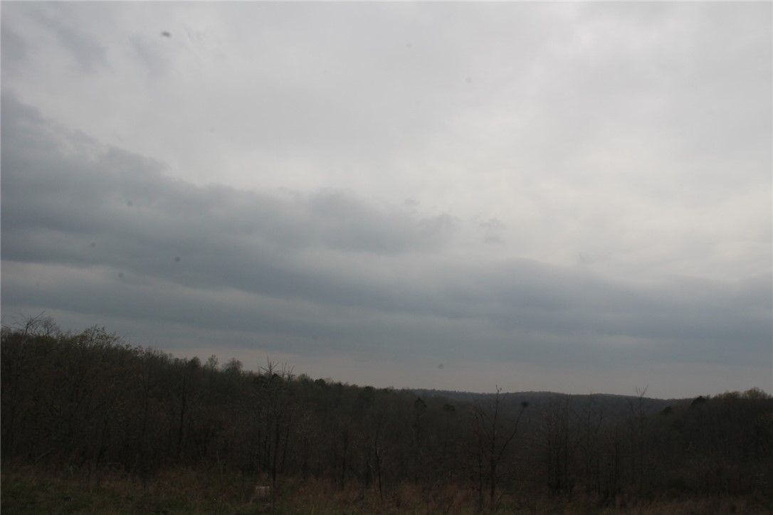 Image 36