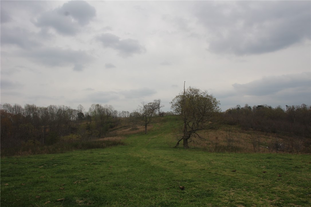 Image 37