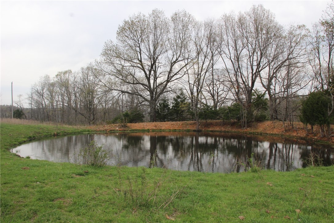Image 38