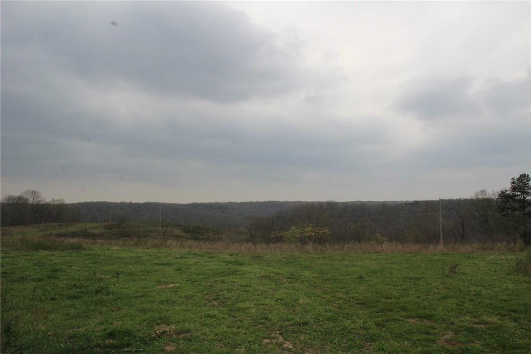 Image 39