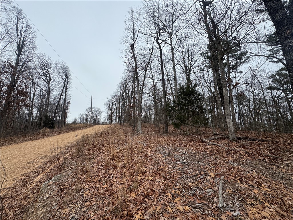 Image 13