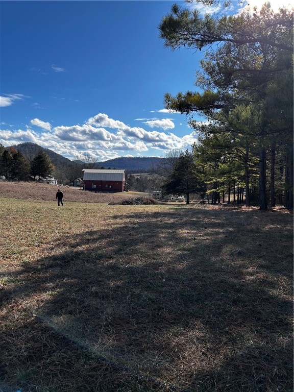 Image 12