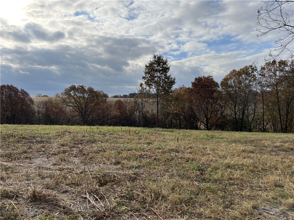 Ozark Haven Realty property-listing-thumbnail
