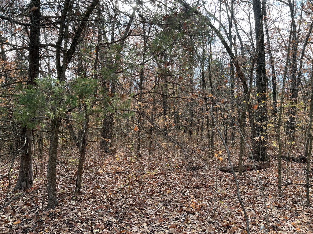 Image 11