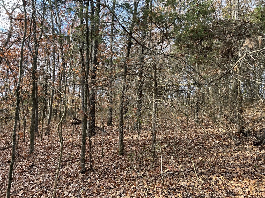 Image 12