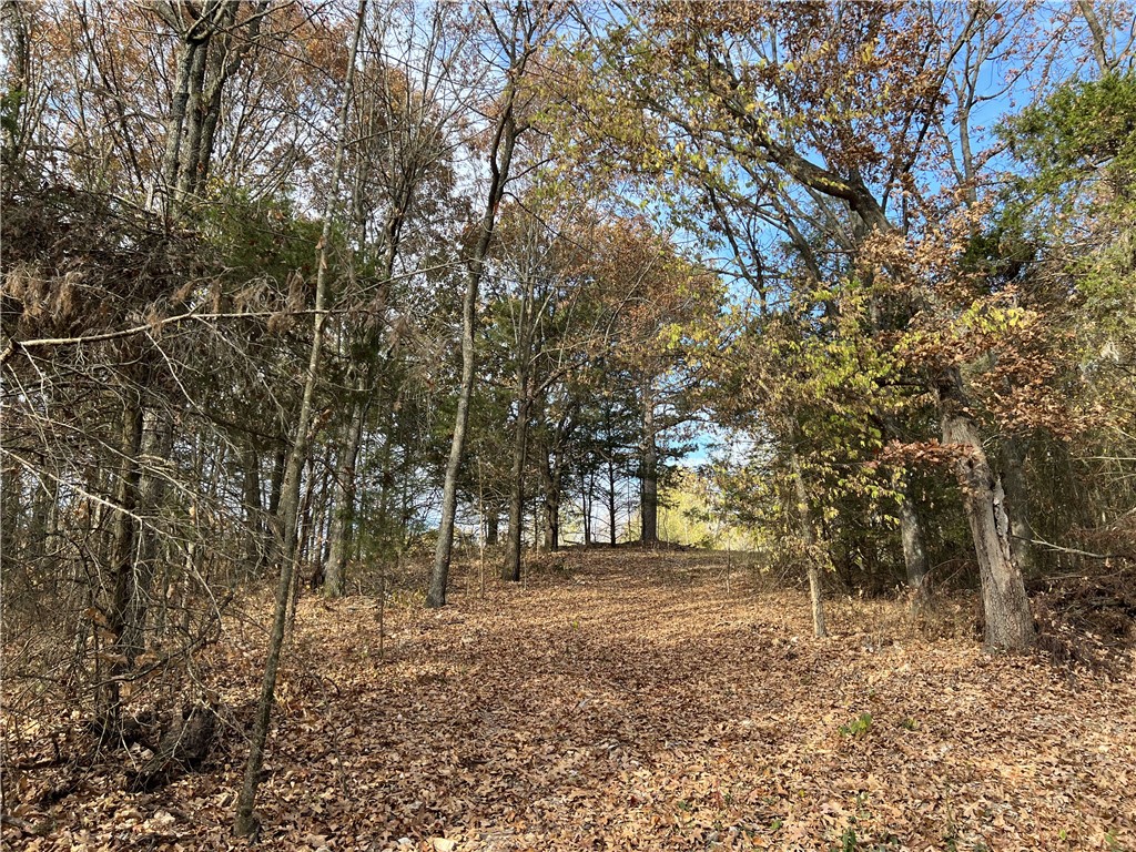 Image 13