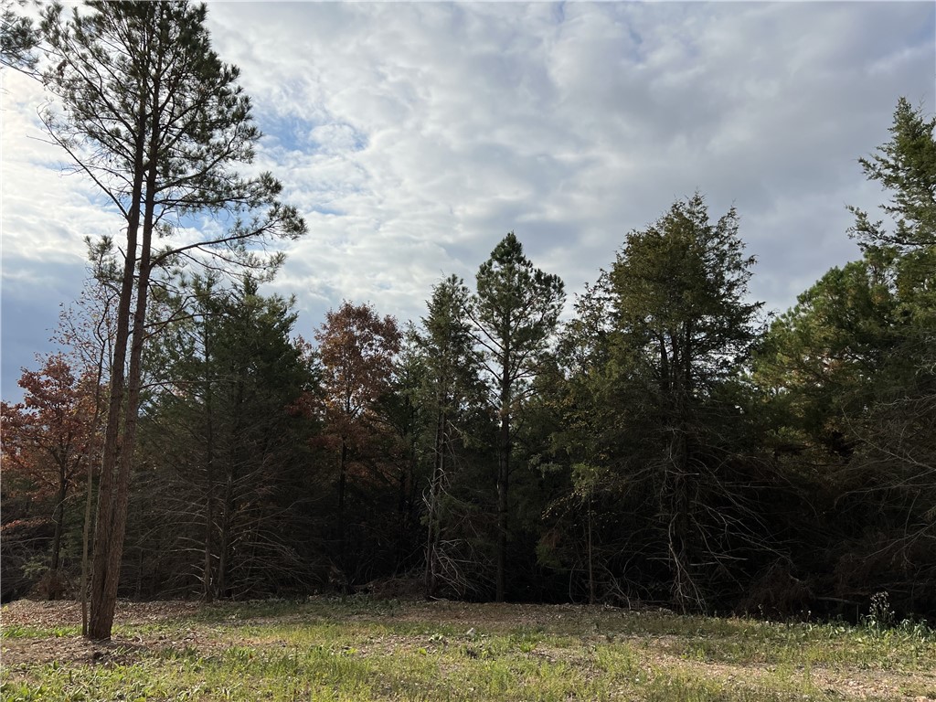 Image 19