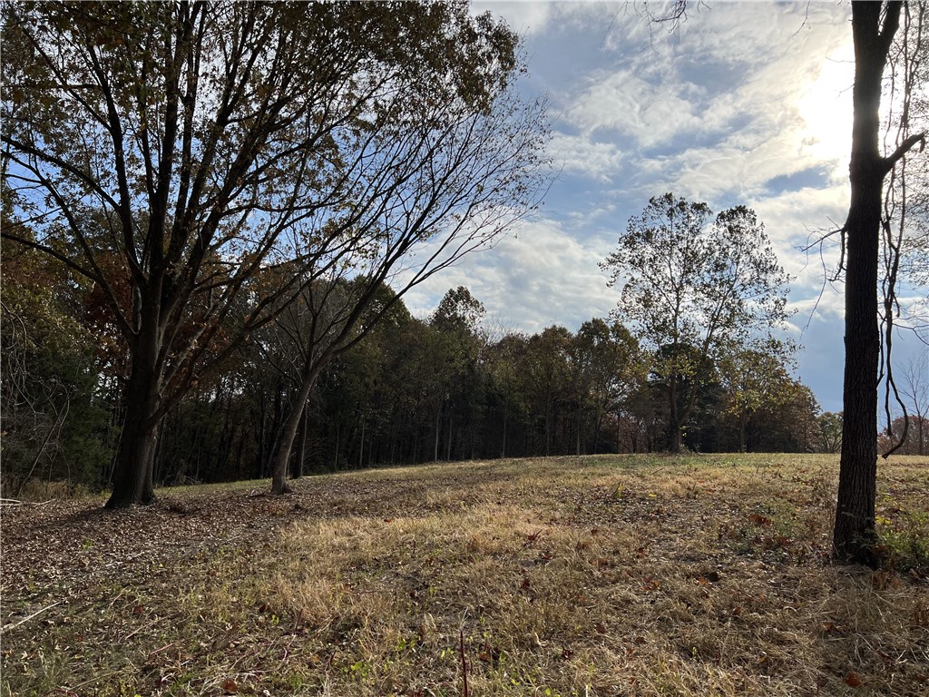 Image 25