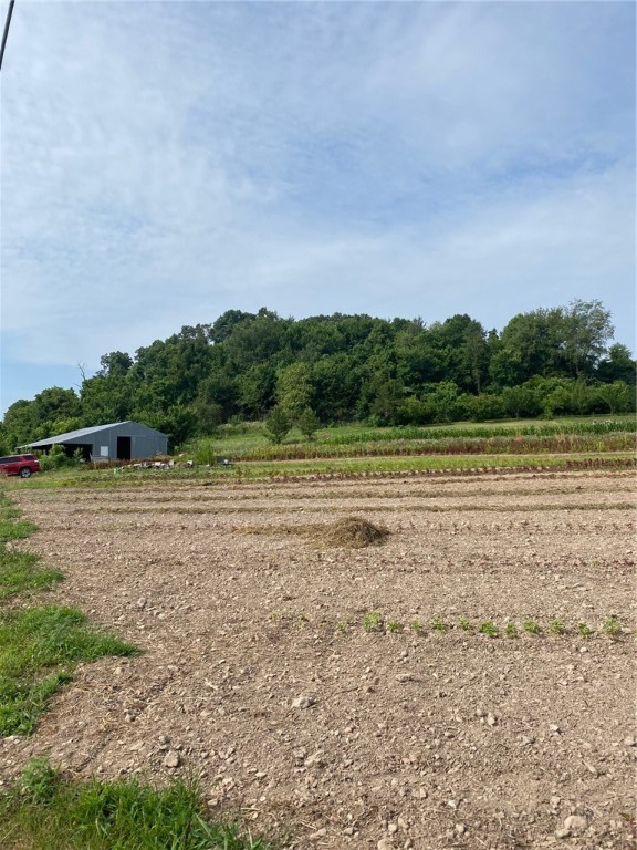 Image 44