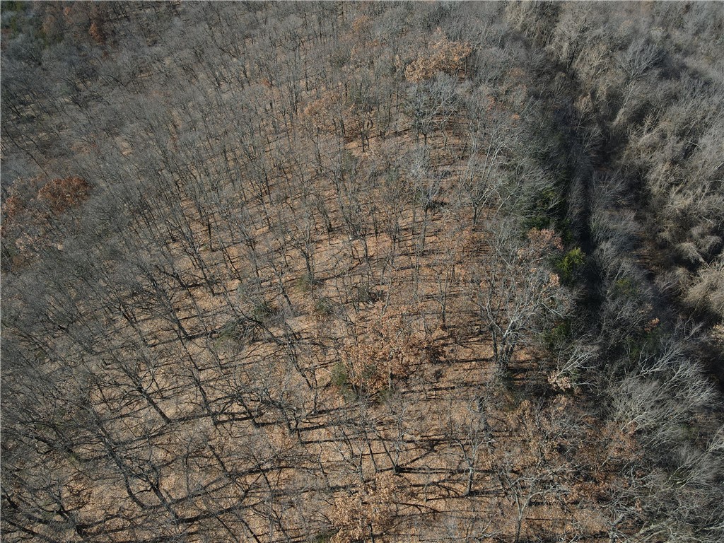 Image 13