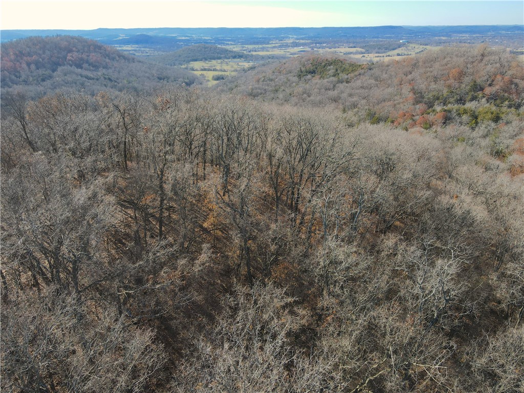 Image 14
