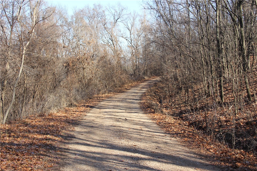 Image 15