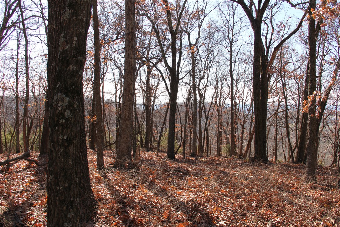 Image 19