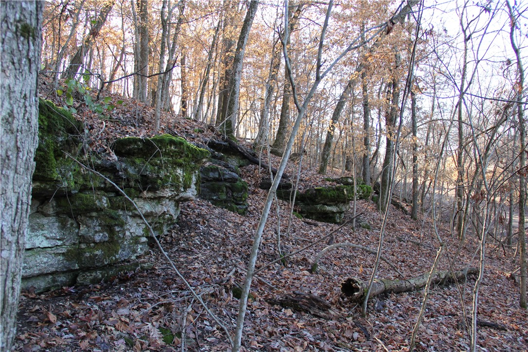 Image 33