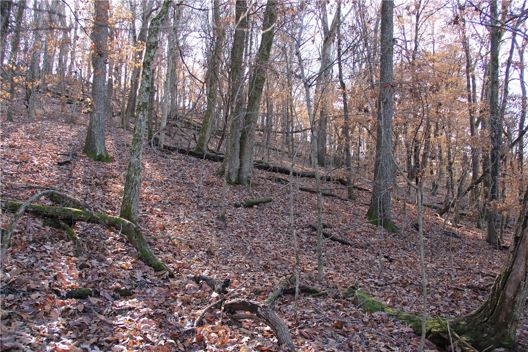 Image 35