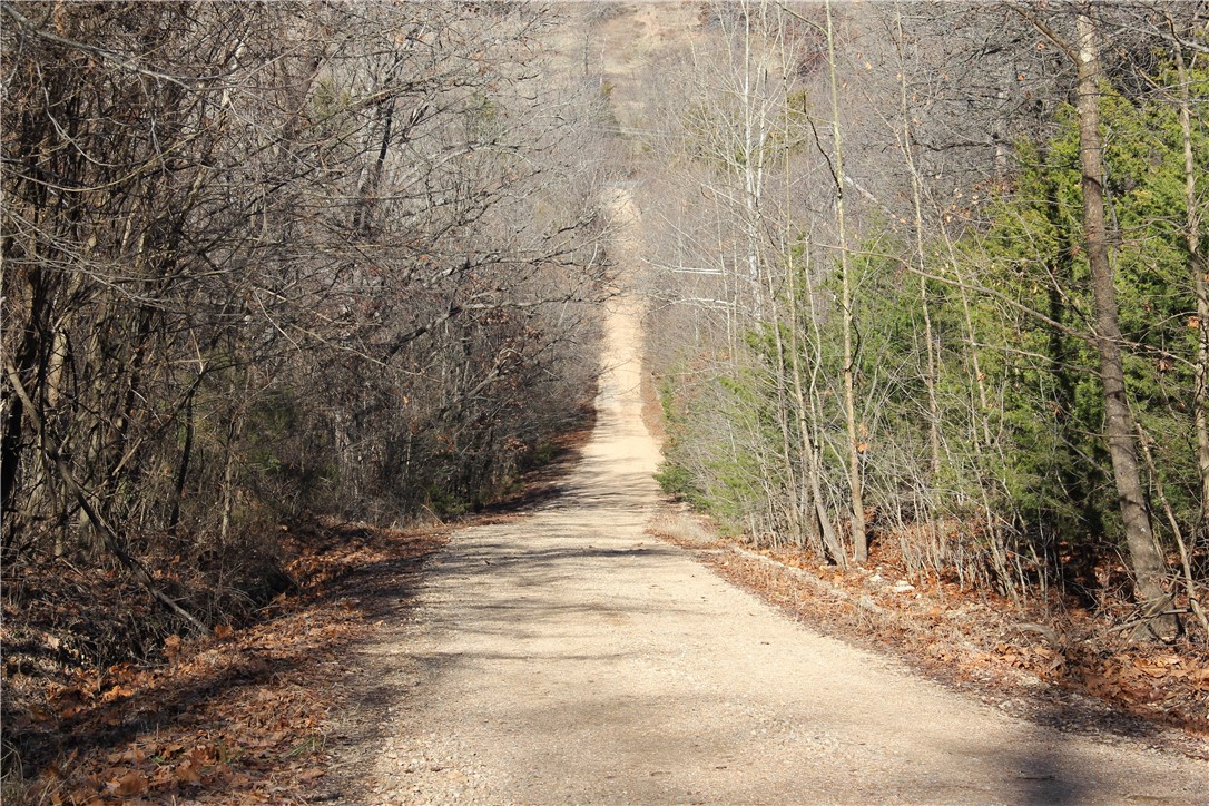 Image 37