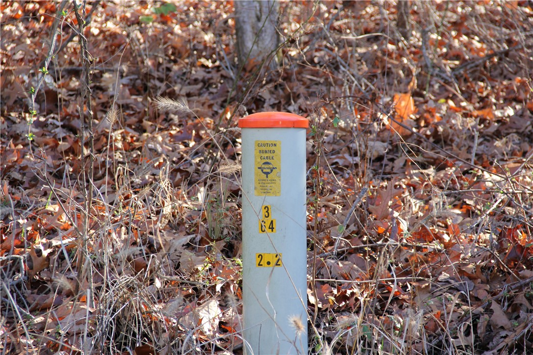 Image 38