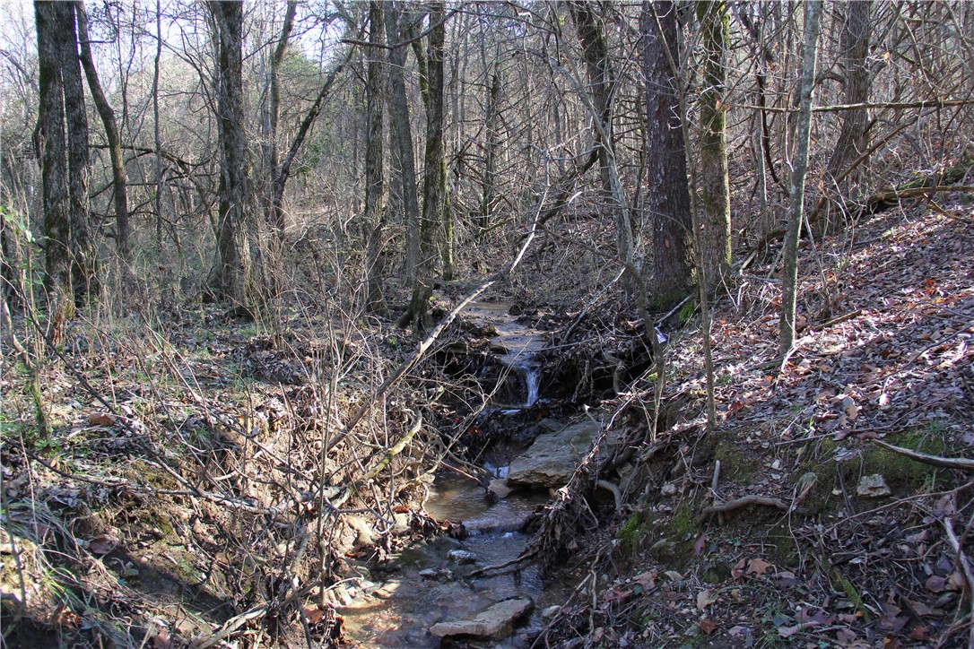 Image 49