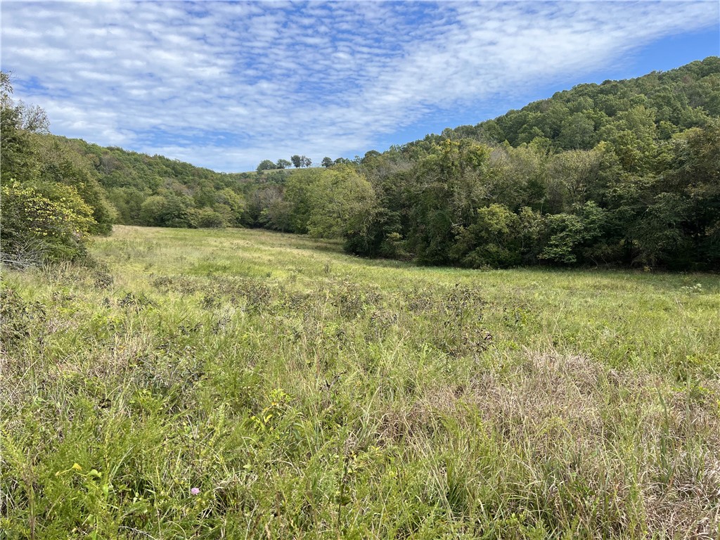 Ozark Haven Realty property-listing-thumbnail