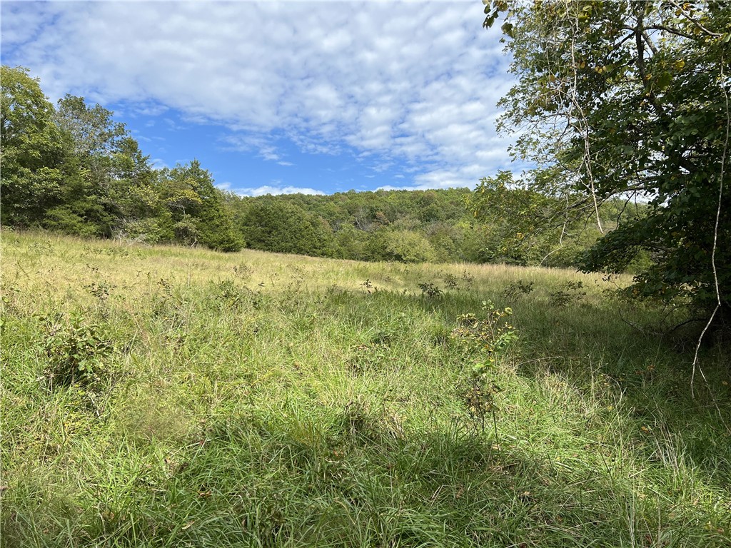 Image 13