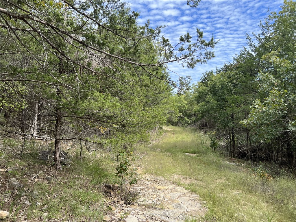Image 14