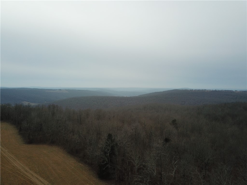 Image 13