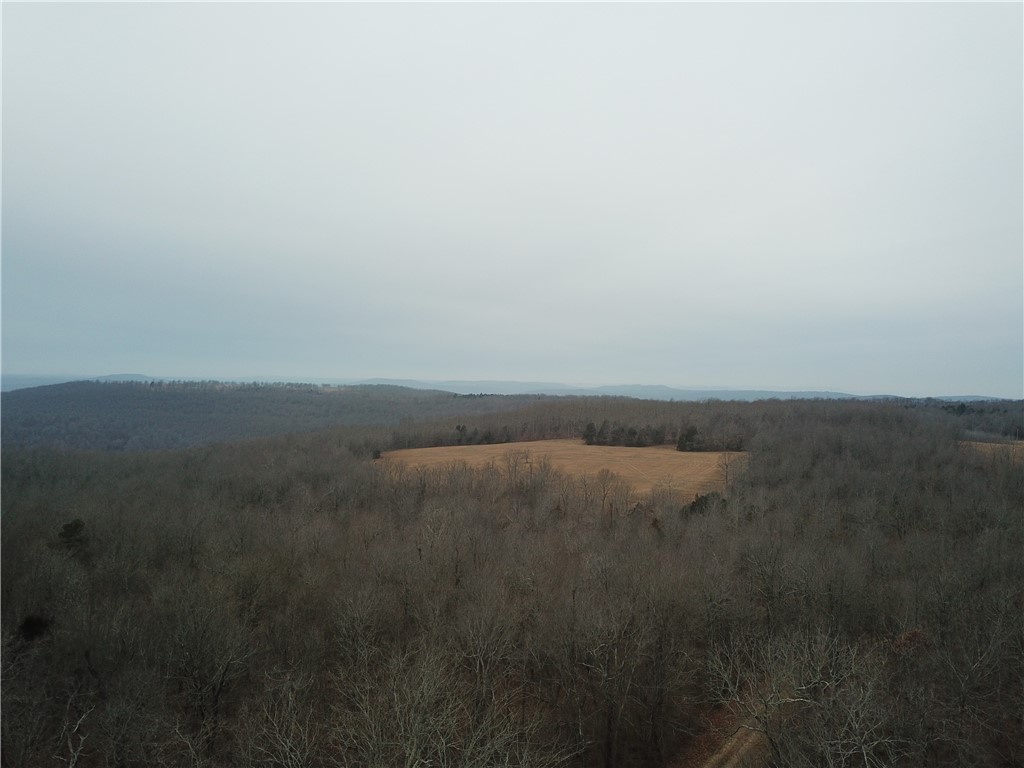 Image 14